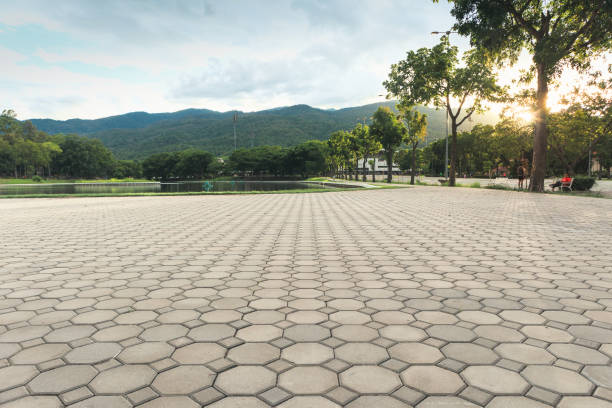 Best Driveway Pavers Near Me  in Williamsburg, KY